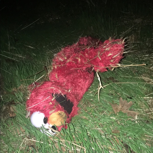 Meet your Posher, Chloe - Picture 1 of 1